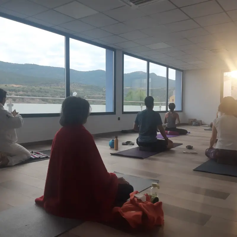 Participantes del retiro en una sesión de yoga al atardecer